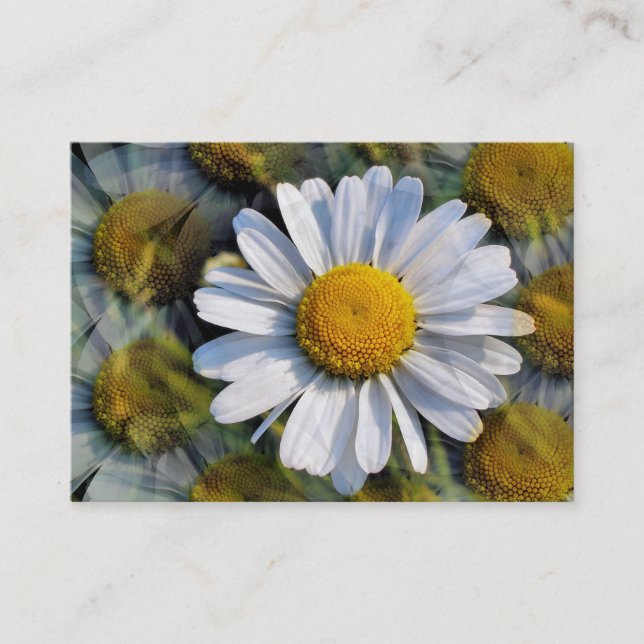TARJETA DE VISITA DAISY (Anverso)