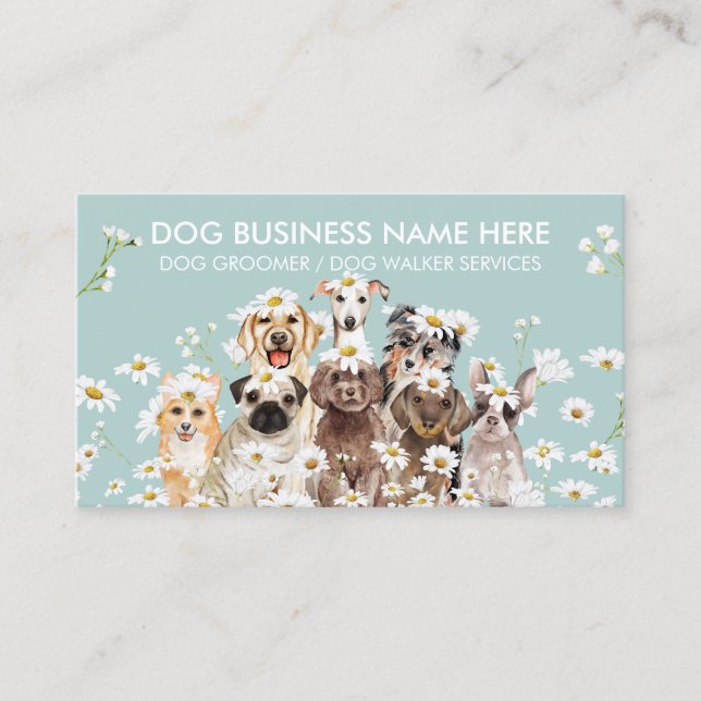 Tarjeta De Visita Daisy Flowers Mascota Sitter Walker perros petcare (Anverso)
