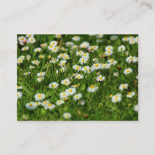 Tarjeta De Visita Daisy Meadow (Anverso)