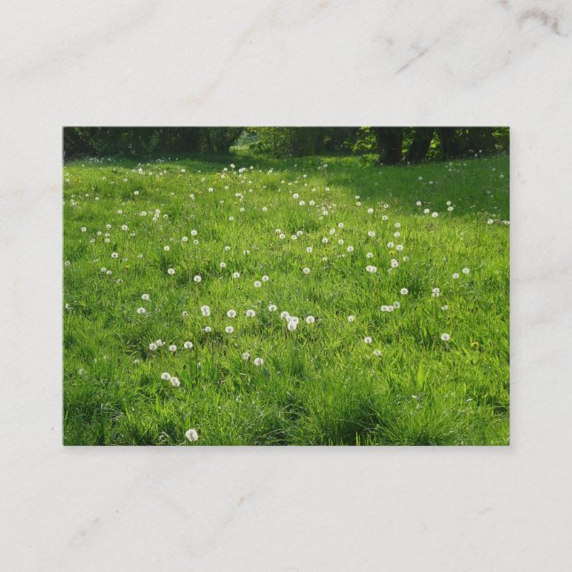 Tarjeta De Visita Dandelion Meadow 01 (Anverso)