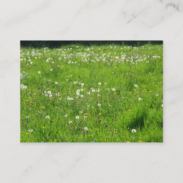 Tarjeta De Visita Dandelion Meadow 02 (Anverso)