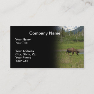 Tarjeta de visita de Alaska salvaje de los alces -