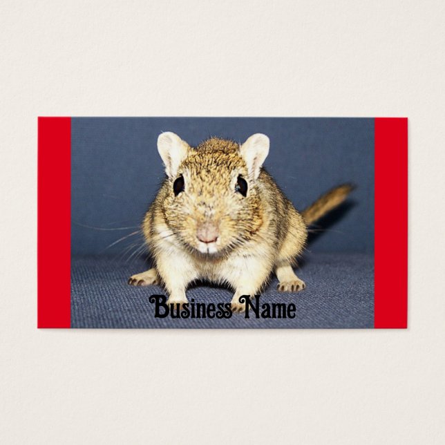 Tarjeta de visita de Alert Gerbil (Frente)