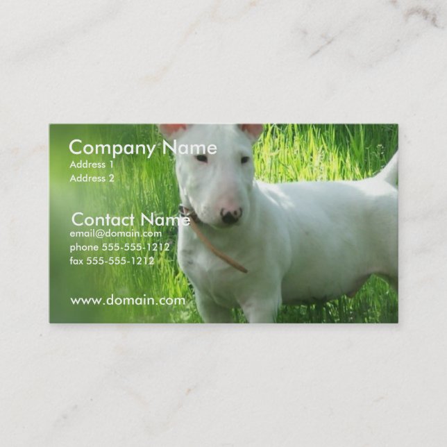 Tarjeta de visita de bull terrier (Anverso)