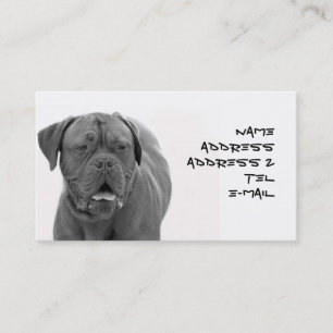 Tarjeta de visita de Dogue de Bordeaux