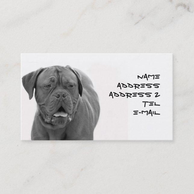 Tarjeta de visita de Dogue de Bordeaux (Anverso)