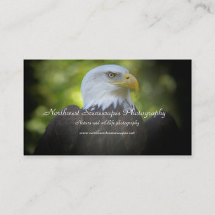 Tarjeta de visita de Eagle calvo