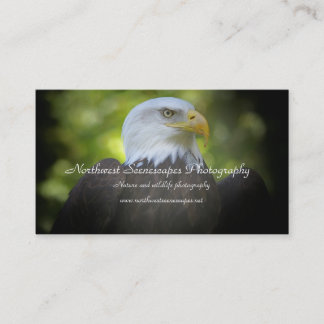 Tarjeta de visita de Eagle calvo