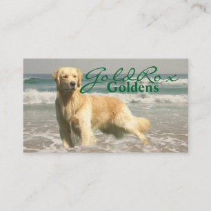 Tarjeta de visita de GoldRox Goldens