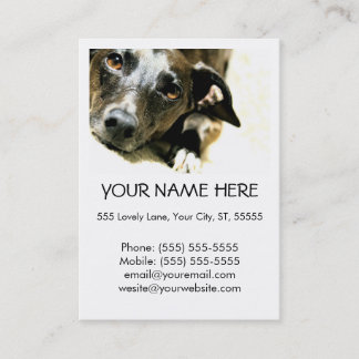 Tarjeta de visita de Jack