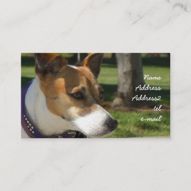 Tarjeta de visita de Jack Russell Terrier (Anverso)