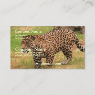 Tarjeta de visita de Jaguar