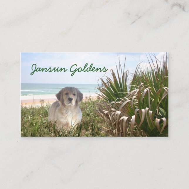 Tarjeta de visita de Jansun Goldens (Anverso)
