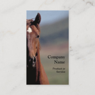 Tarjeta de visita de la cabeza de caballo