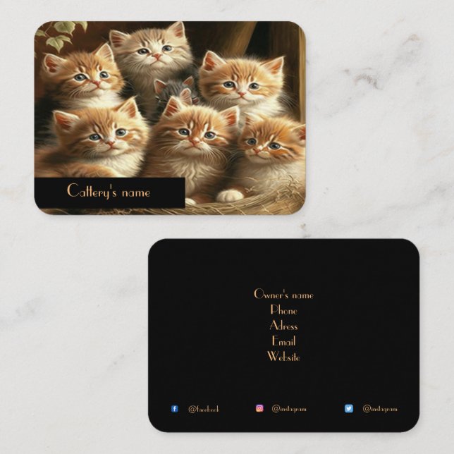 Tarjeta de visita de la Catedral de personalizable (Anverso / Reverso)