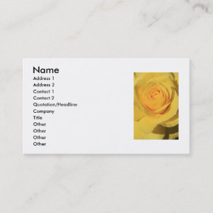 Tarjeta de visita de la flor del rosa amarillo