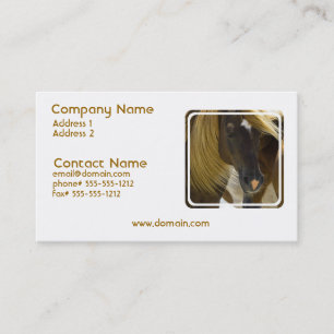 Tarjeta de visita de la foto del caballo del