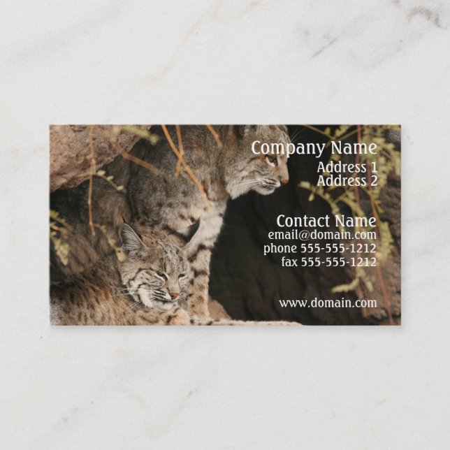Tarjeta de visita de la foto del lince (Anverso)