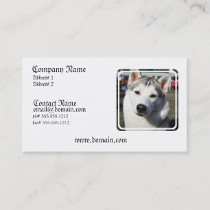 Tarjeta de visita de la foto del perro del husky