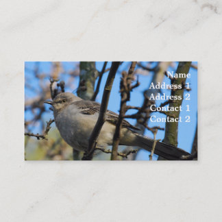 Tarjeta de visita de la fotografía