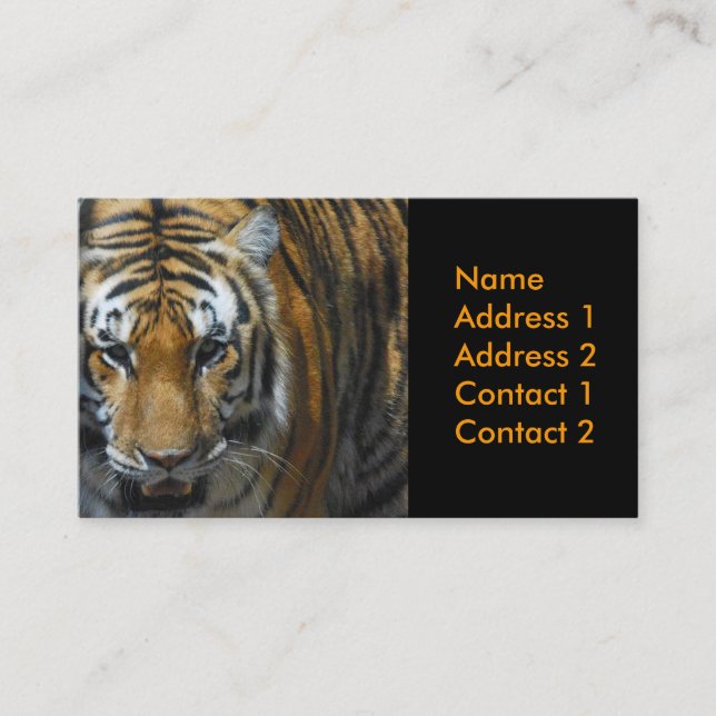 tarjeta de visita de la fotografía (Anverso)
