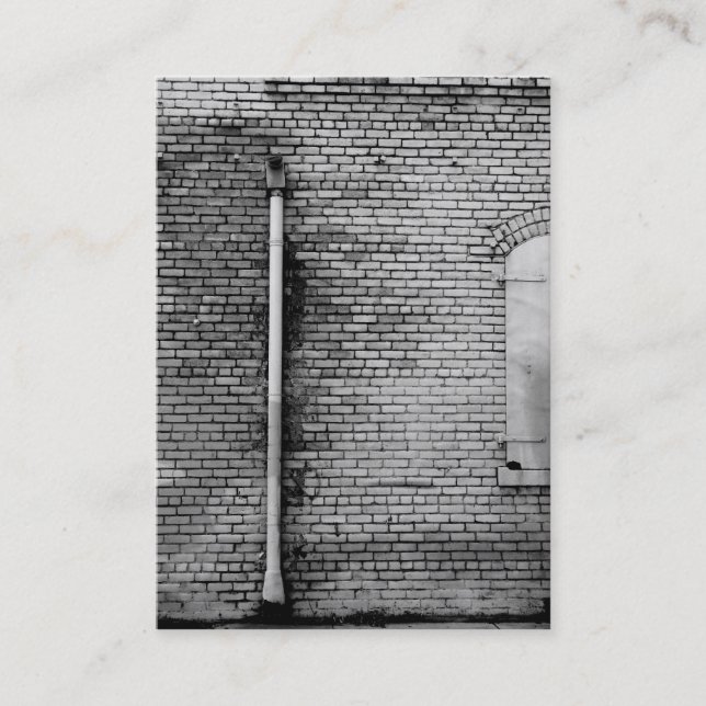 Tarjeta de visita de la fotografía (Anverso)