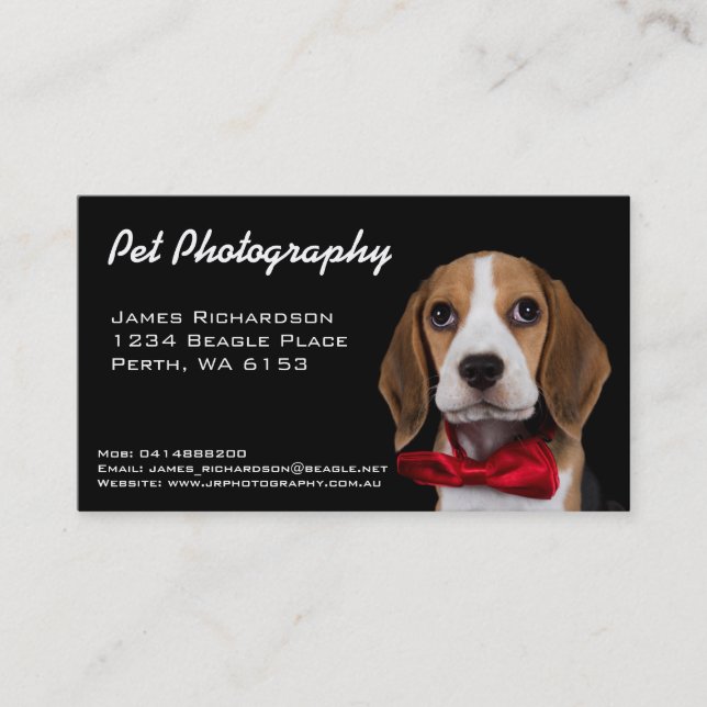 Tarjeta de visita de la fotografía del mascota (Anverso)