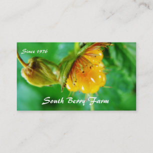 tarjeta de visita de la granja de berry