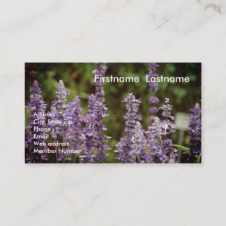 Tarjeta de visita de la lavanda
