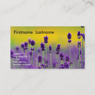 Tarjeta de visita de la lavanda