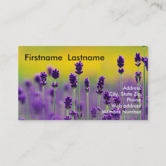 Tarjeta de visita de la lavanda 1