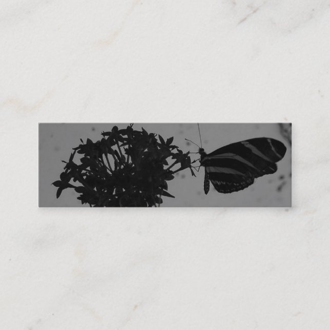Tarjeta de visita de la mariposa (Anverso)