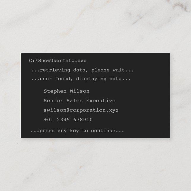 Tarjeta de visita de la novedad del estilo del DOS (Anverso)