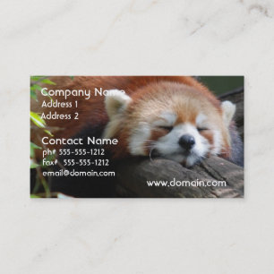 Tarjeta de visita de la panda roja el dormir