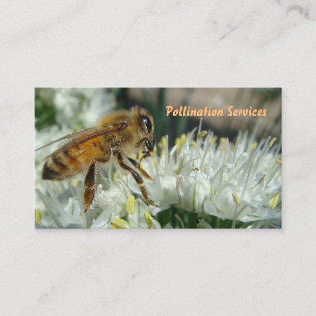 tarjeta de visita de la polinización de la abeja (Anverso)