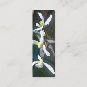 Tarjeta de visita de la señal del flor de Armandi