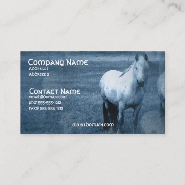 Tarjeta de visita de la soledad del caballo (Anverso)