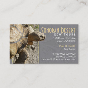 Tarjeta de visita de la tortuga/de la tortuga