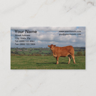 Tarjeta de visita de la vaca