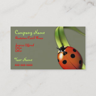 tarjeta de visita de Lady Bug