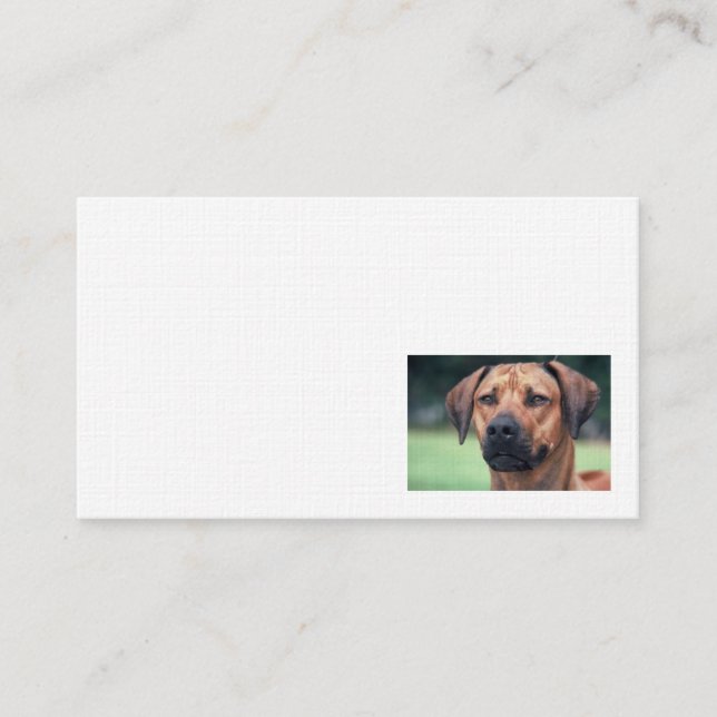 Tarjeta de visita de lino de Rhodesian Ridgeback (Anverso)