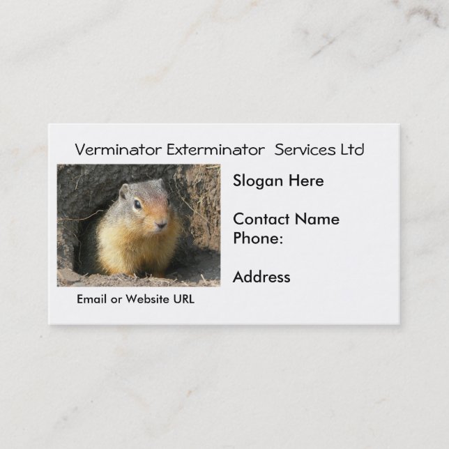 Tarjeta de visita de los bichos del roedor (Anverso)