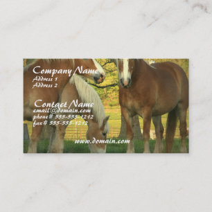 Tarjeta de visita de los caballos de proyecto del