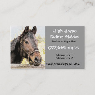 Tarjeta de visita de los establos del montar a