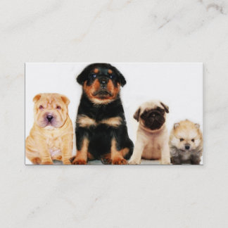Tarjeta de visita de los perritos
