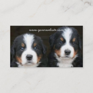 Tarjeta de visita de los perritos del perro de