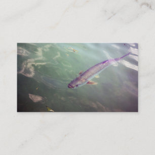 Tarjeta de visita de los pescados del tarpón