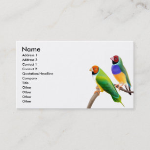 Tarjeta de visita de los pinzones de Gouldian