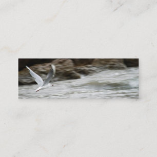Tarjeta de visita de marcadores de gaviota