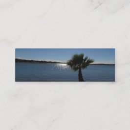 Tarjeta de visita de palmera de San Diego